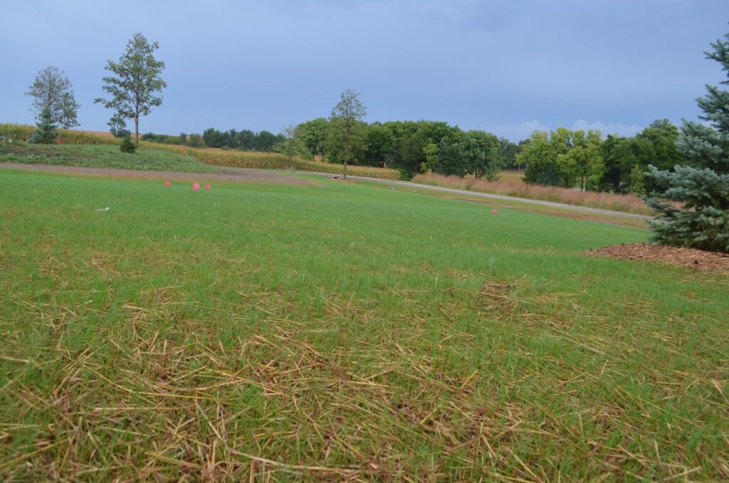 Lawn & Turf Miller Seed Company