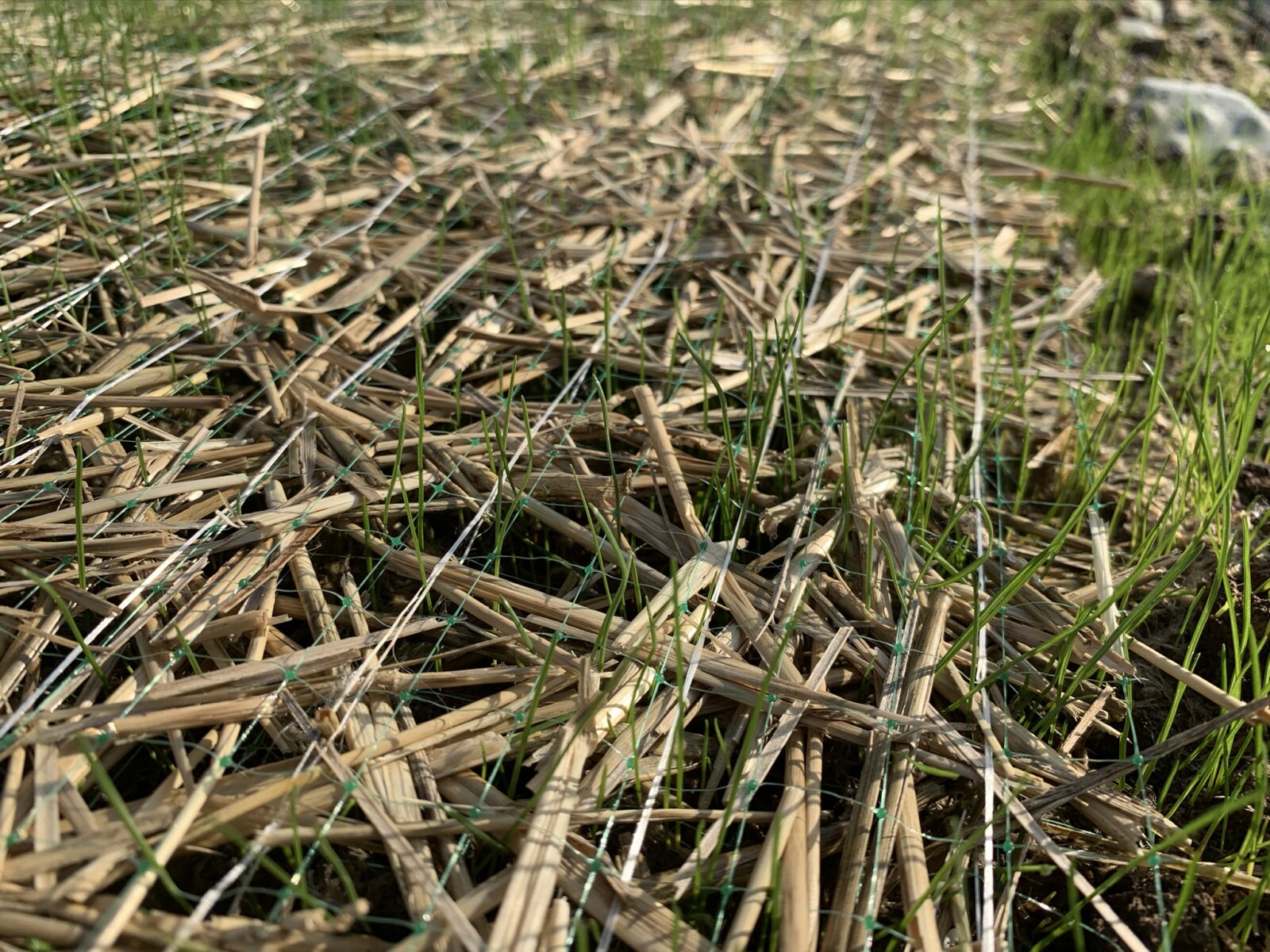 Erosion Blanket Miller Seed Company