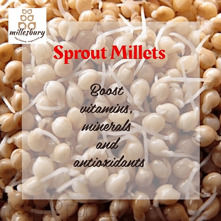 Sprout Millets Millesbury