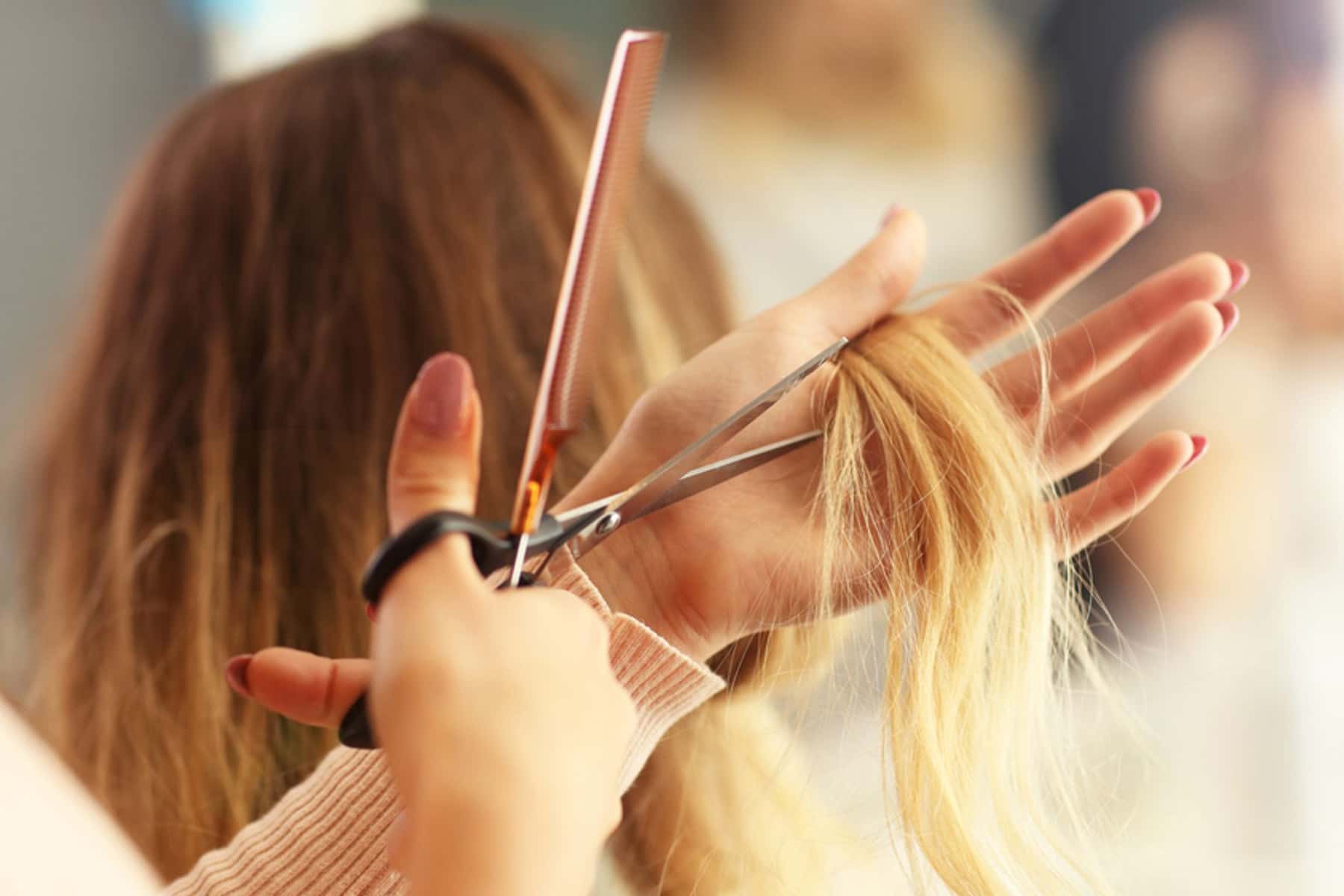 Wisconsin hair salon owner claimed “Safer at Home” order violated her