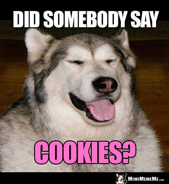 Yummy Dog Jokes, Dog Food Humor, Funny Bone Humor, Canine Comedy Treats