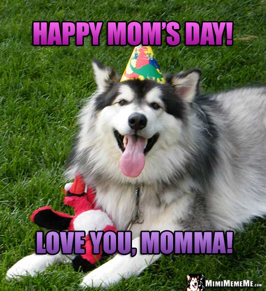 Happy Mother's Day Mom! Funny Party Animals Wish Mommy