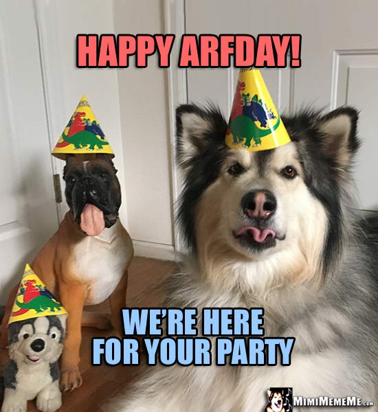 Funny Dog Tells Birthday Jokes, Happy Birthday from Dog! Pg 2 MimiMemeMe