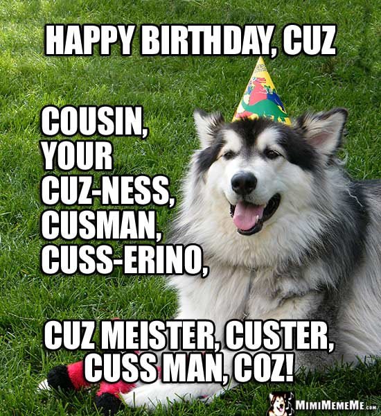 Happy Birthday Bud! Funny Animals Wish Bro, Pal, Cousin and Kid a Happy