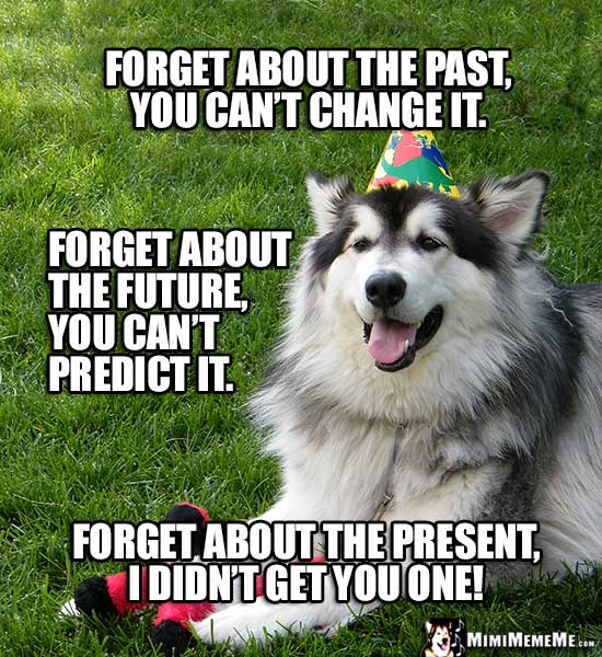 Funny Dog Tells Birthday Jokes, Happy Birthday from Dog! Pg 2 MimiMemeMe