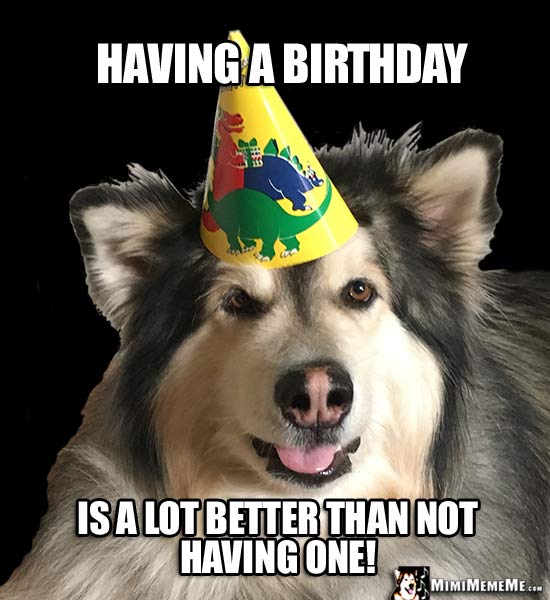 OneLiner Birthday Jokes! Short Happy Birthday Humor, Hilarious BDay