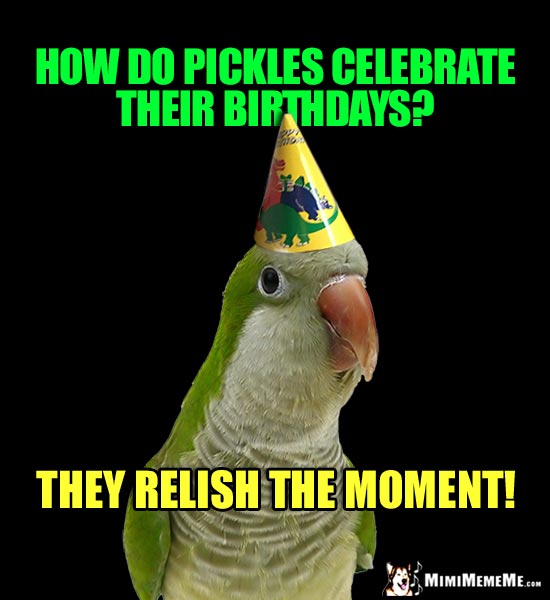 BirdDays Are Funny! Happy Birthday Bird Humor, Hilarious Parrot BDay