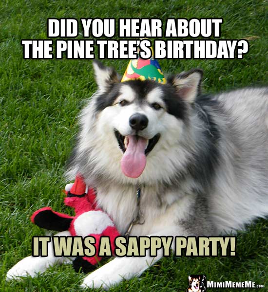 Happy Birthday from Dog! Funny Dog BDay Jokes, Doggie Style Party