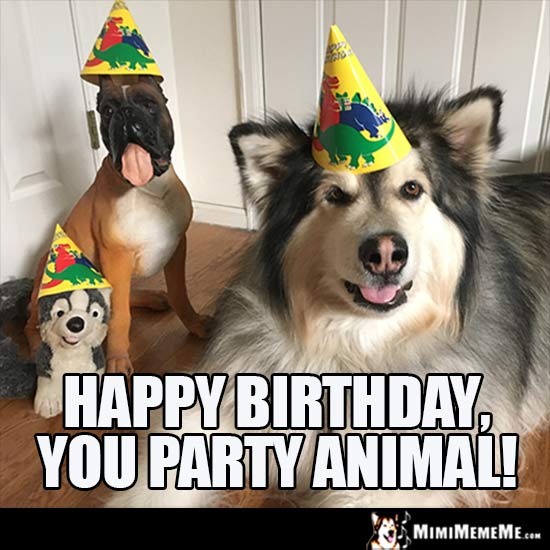 Birthday Parties Are Funny! Happy Birthday Bash Jokes, Hilarious BDay Party Memes. Pg 12