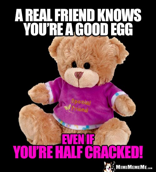 Funny Teddy Bear Memes