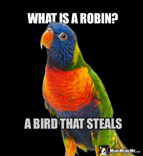Funny Bird Jokes, Avian Humor, Cheep Birdie Laughs. Pg 1 of 2 MimiMemeMe
