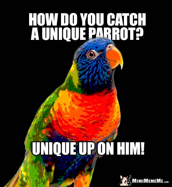 Funny Parrot Jokes, Pet Bird Riddles, Cheep LOLs, Birdie Humor. Pg 7