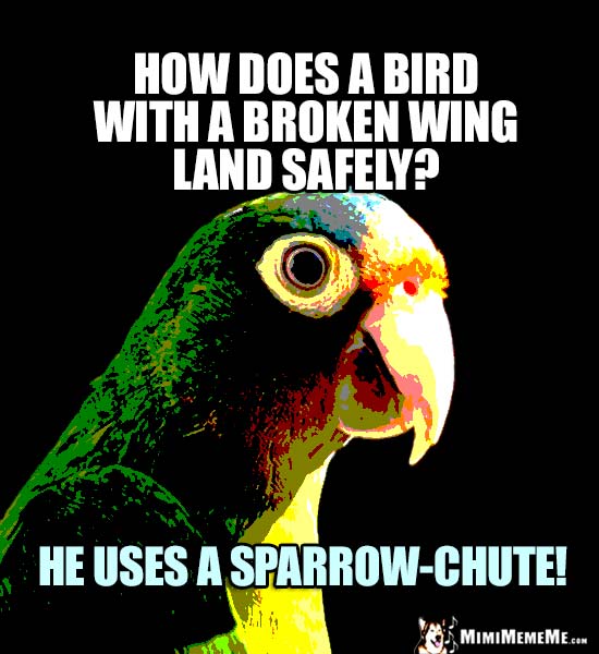 Funny Bird Jokes, Avian Humor, Cheep Birdie Laughs. Pg 2 MimiMemeMe