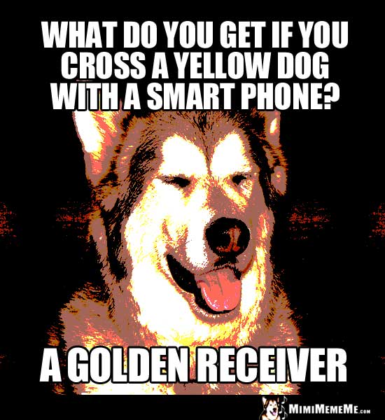 HighTech Dog Jokes, Doggie Technology Humor, Connected Canine Comedy