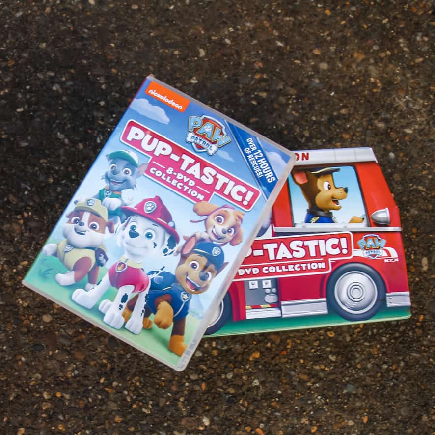 Best Christmas Present for a Paw Patrol Fan Mimi's Dollhouse