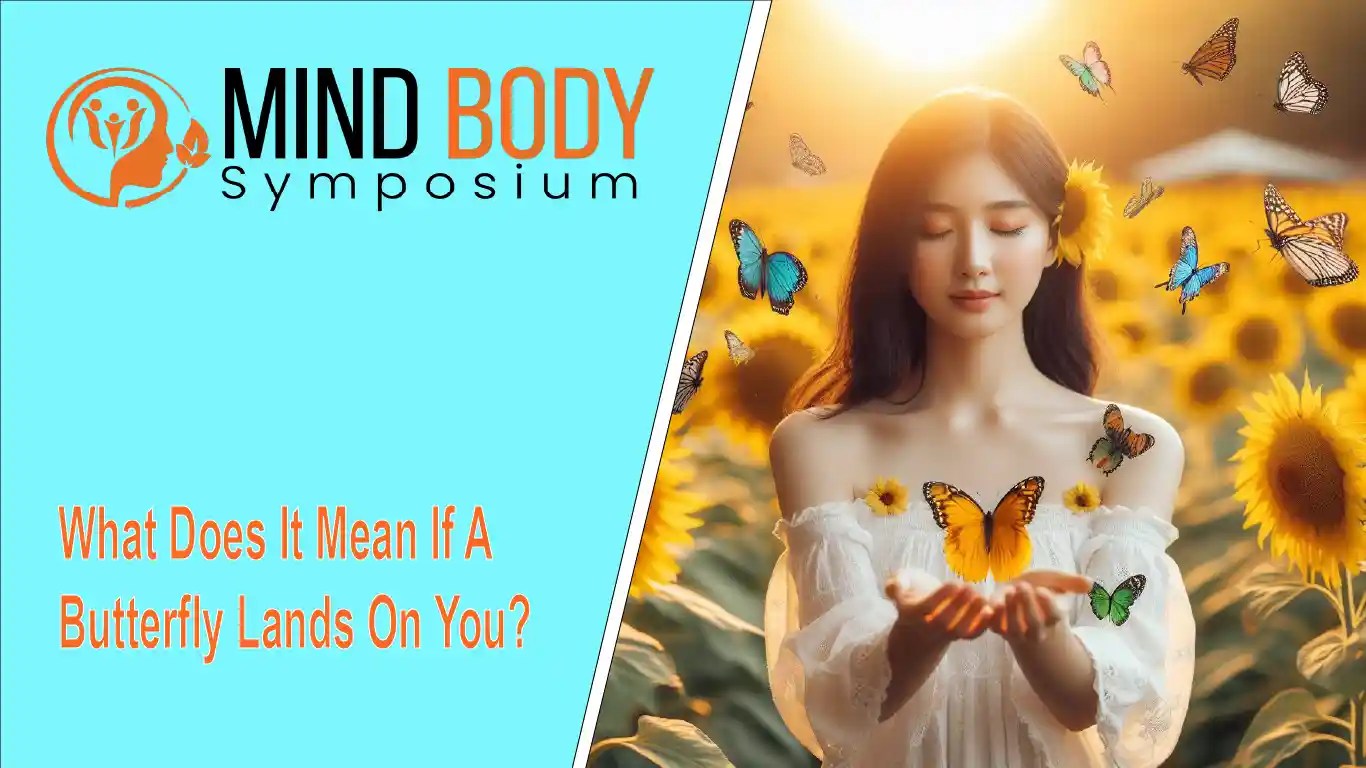 What Does It Mean If A Butterfly Lands on You? Good Sign? MindBodySymposium
