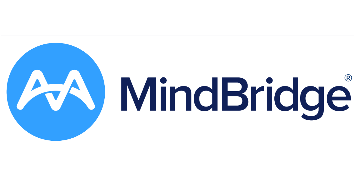 Leadership MindBridge