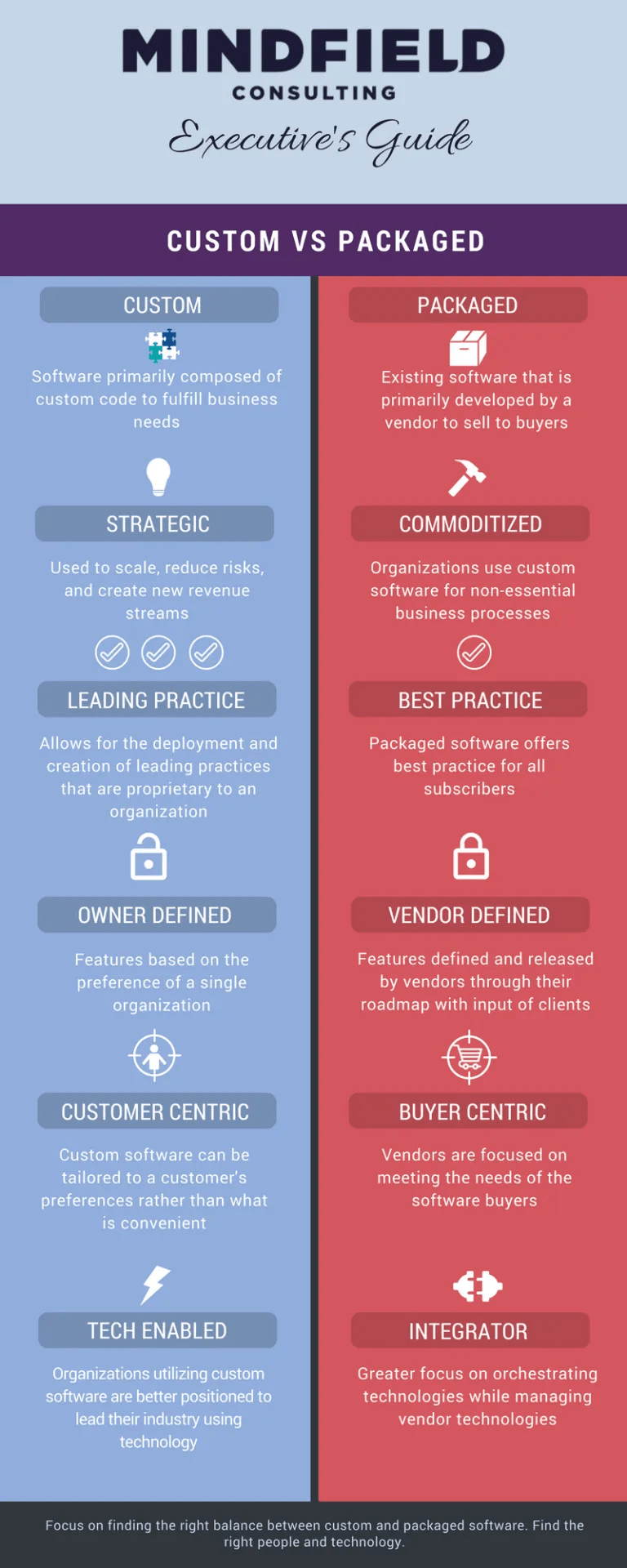 Executive's Guide Advantages Disadvantages of Custom Software