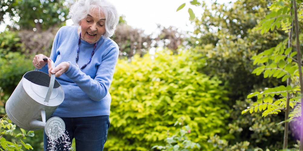 How to keep your garden alive during water restrictions MiNDFOOD