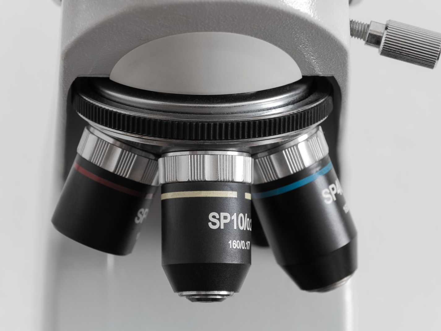 Prejudice Under the Microscope The Implicit Association Test (Part II