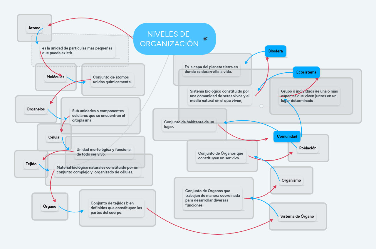 NIVELES DE ORGANIZACIÓN MindMeister Mapa Mental