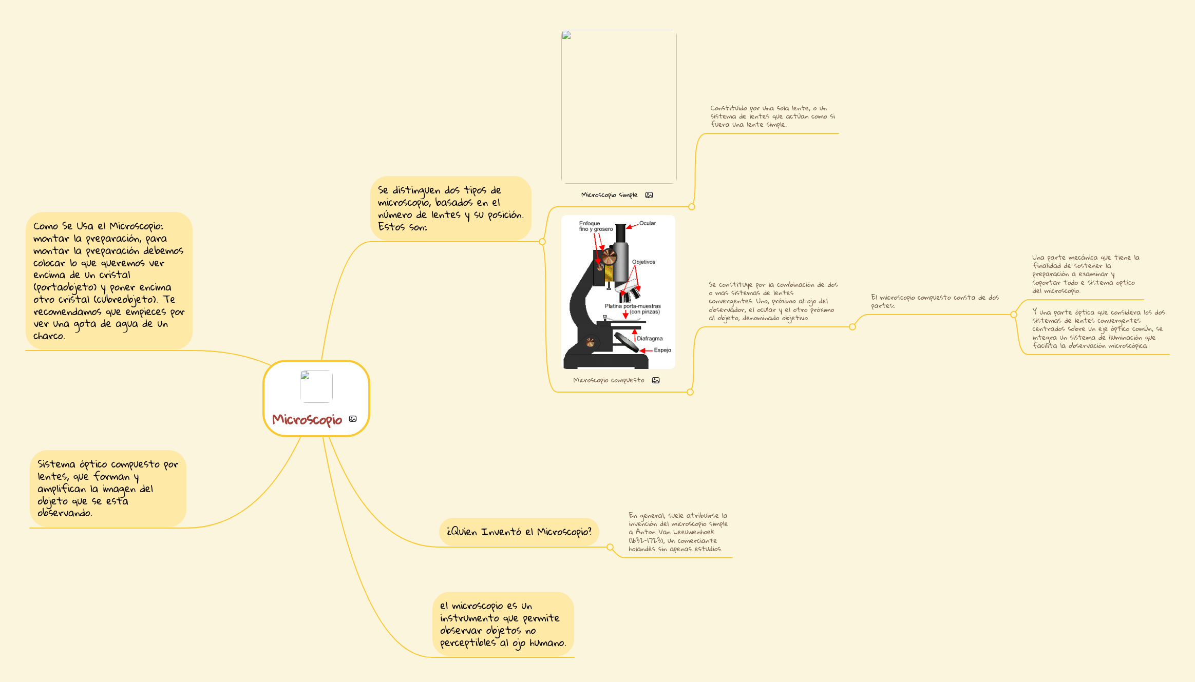 Microscopio MindMeister Mapa Mental