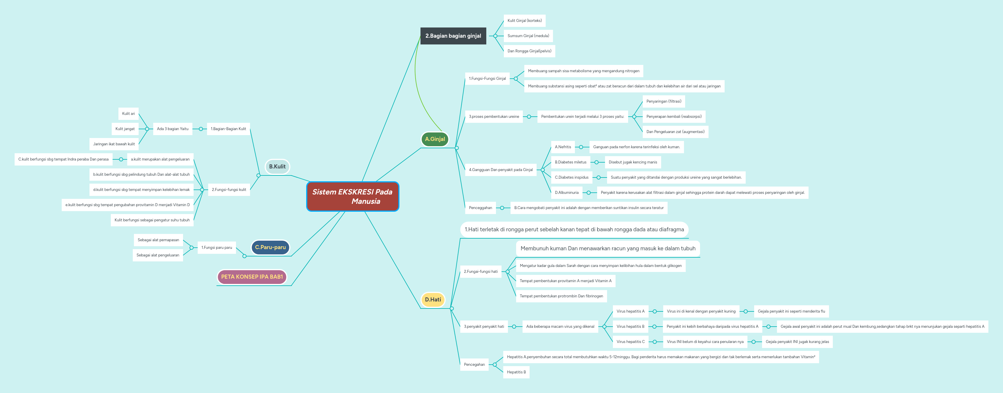 Sistem EKSKRESI Pada Manusia | MindMeister Mind Map