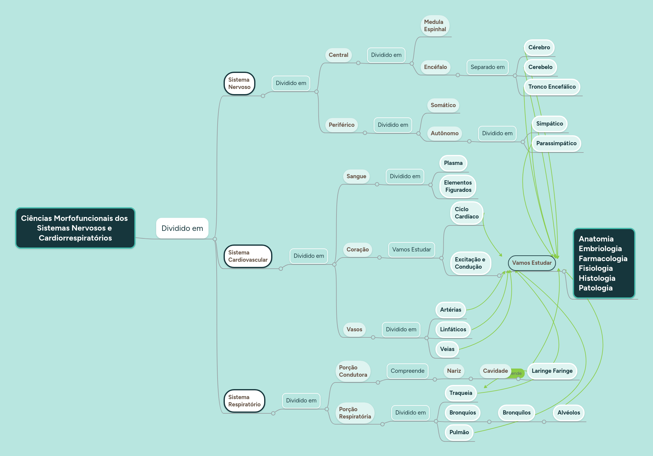 Ciências Morfofuncionais dos Sistemas Nervosos e... MindMeister Mapa