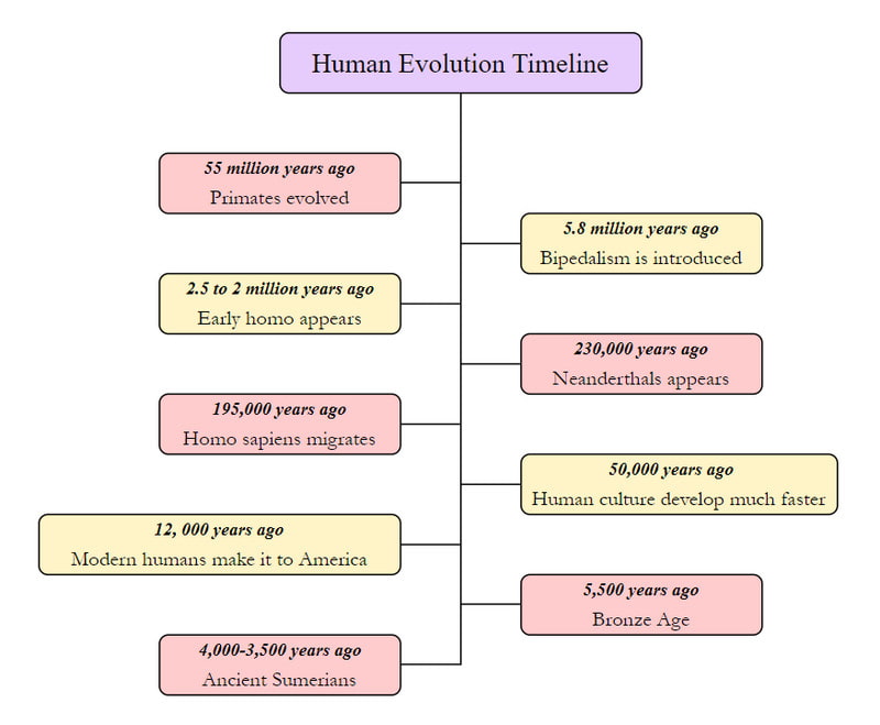 Tijdlijn van de menselijke evolutie van primaten tot moderne mensen