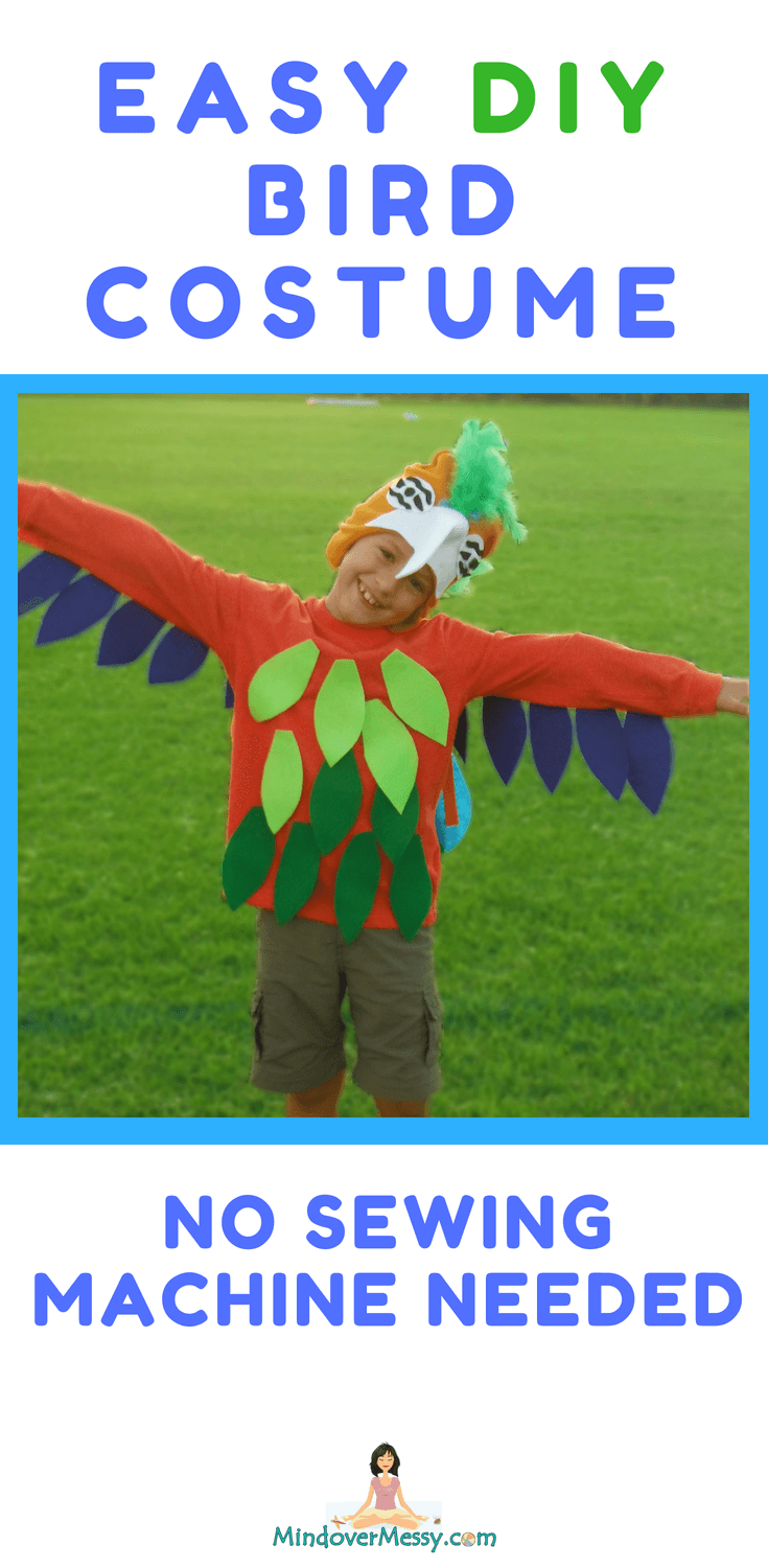 Super Easy DIY Bird Costume Mind Over Messy