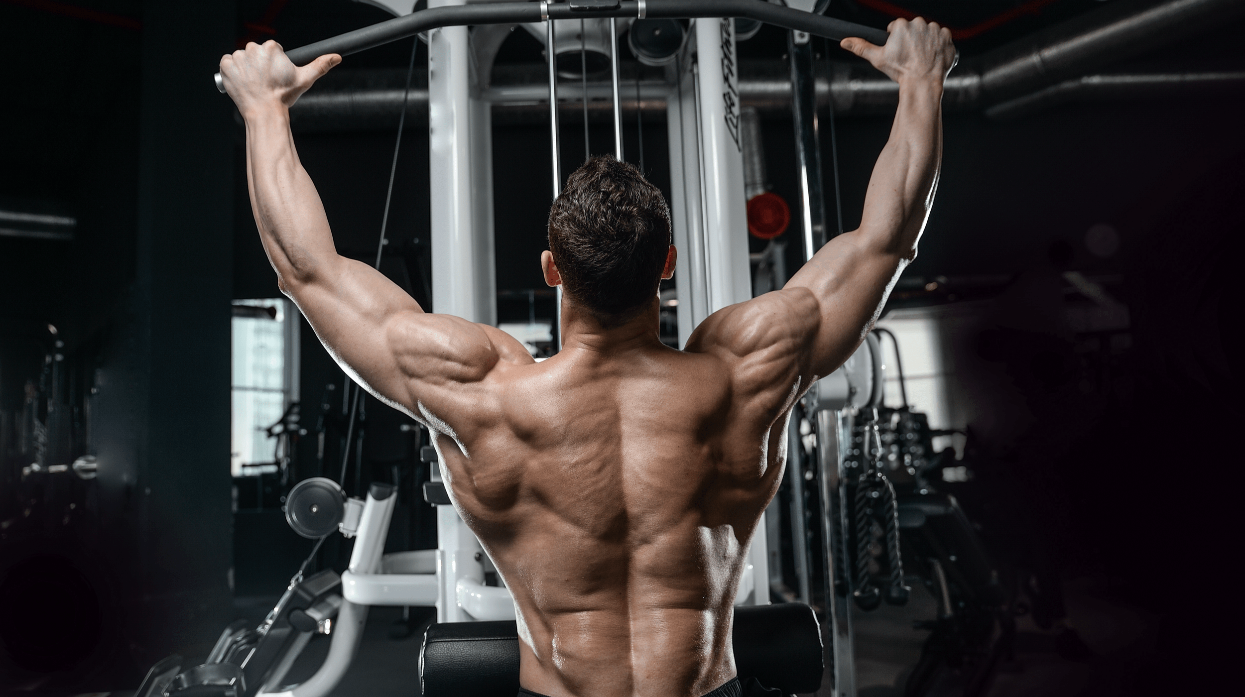 TDEE Calculator MAPS Fitness Products
