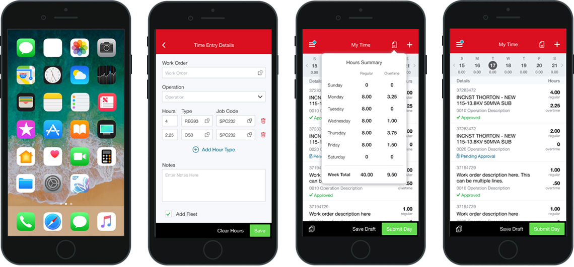 Xcel Energy Mindset Consulting