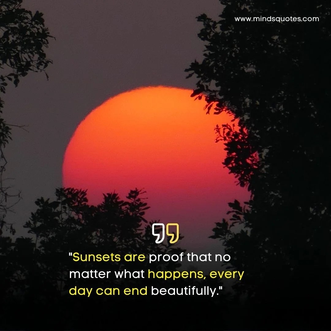 125 Beautiful Sunset Quotes To Soothe Your Soul
