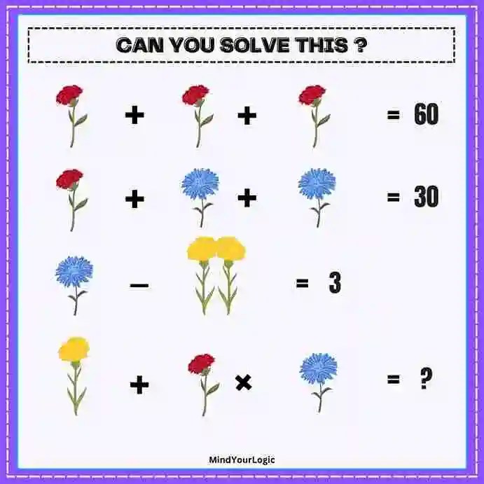 Red Blue & Yellow Flower Math Viral Puzzle