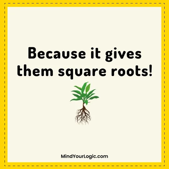 Why do plants hate math?