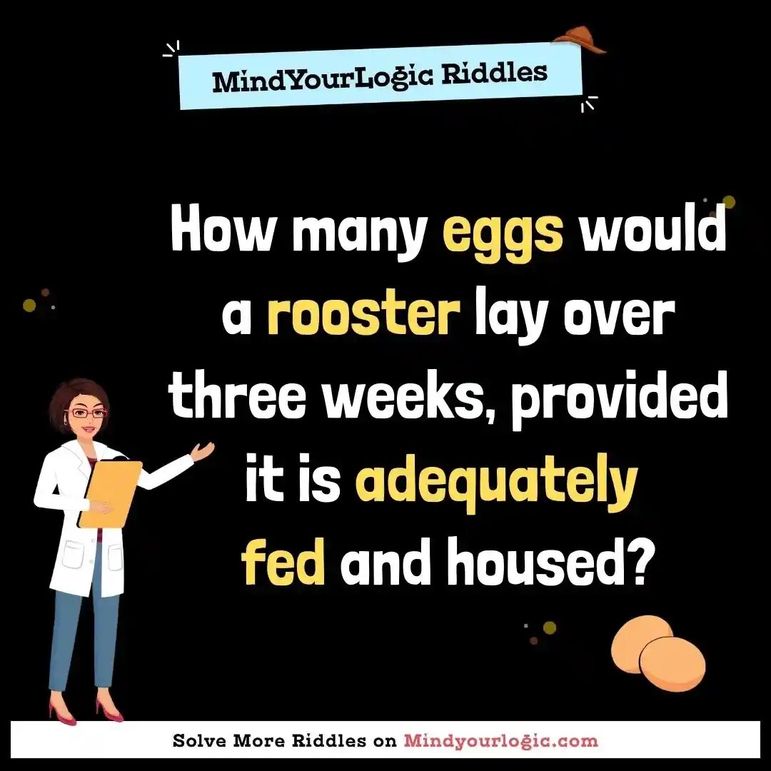 How many eggs would a rooster lay over three weeks, provided