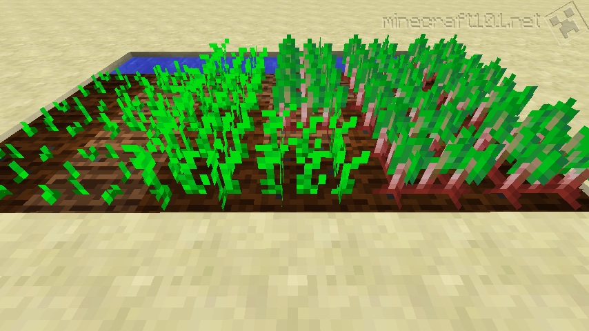 Growing Crops Minecraft 101