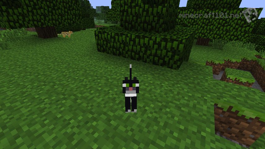 Minecraft Version 1.2 Minecraft 101