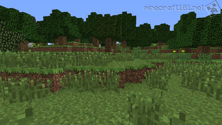 Forest Biome Forest Biome In Minecraft