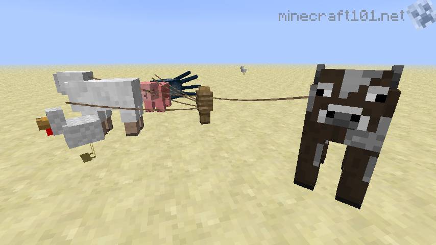 Leads Minecraft 101