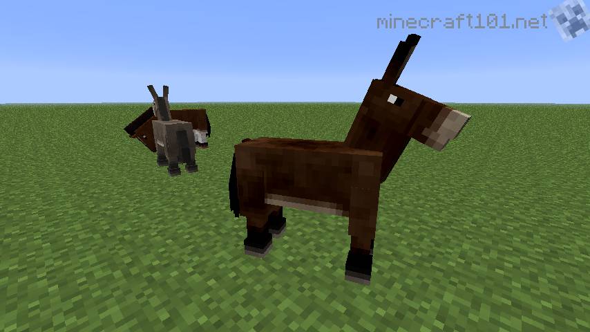 Horses, Donkeys and Mules Minecraft 101