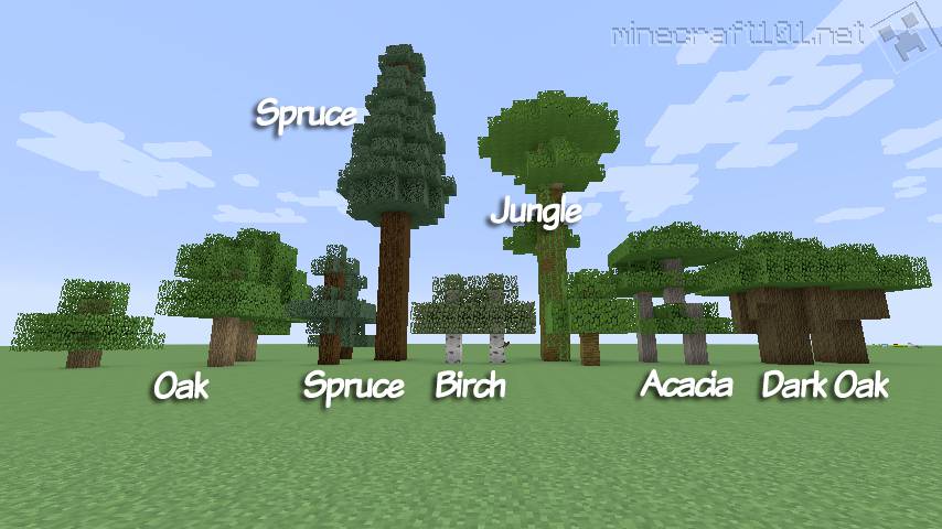 Trees in Minecraft Minecraft 101