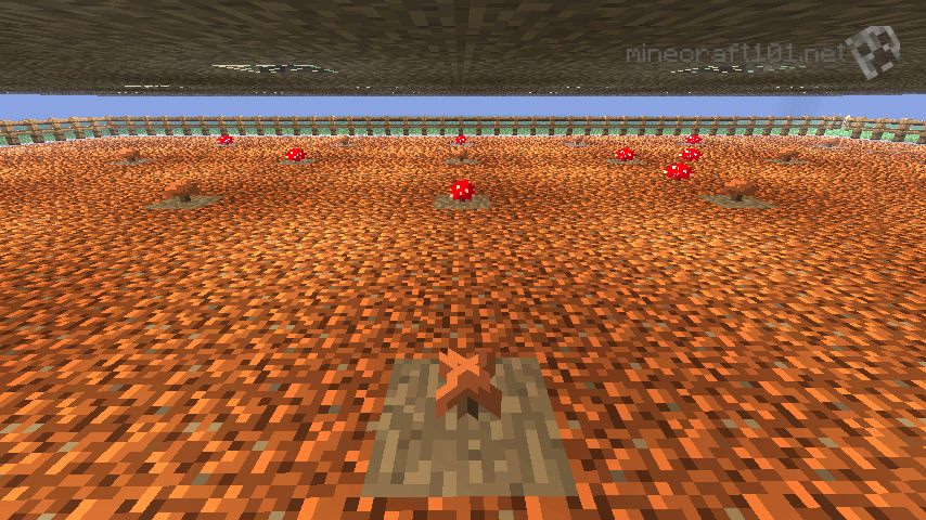 Mushrooms Minecraft 101