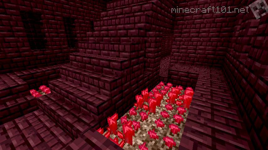 Can't Find Nether Warts MCX360 Discussion Minecraft Xbox 360 Edition Minecraft Editions