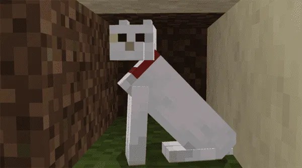 Nice Cats Texture Pack MCPE Texture Packs minecrafts.us