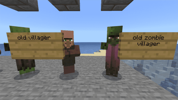 Old Villager Template Worlds MCPE Maps minecrafts.us