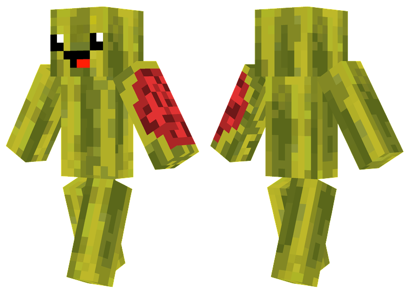 Happy Watermelon Minecraft Skins