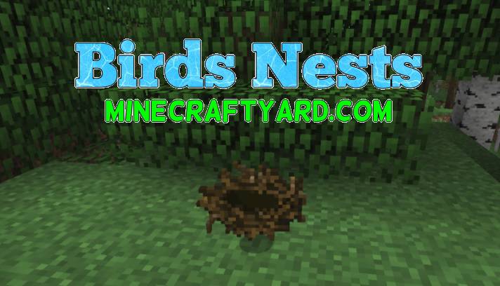 Birds Nests Mod 1.17.1/1.16.5/1.15.2/1.14.4 (Reward System) Minecraft