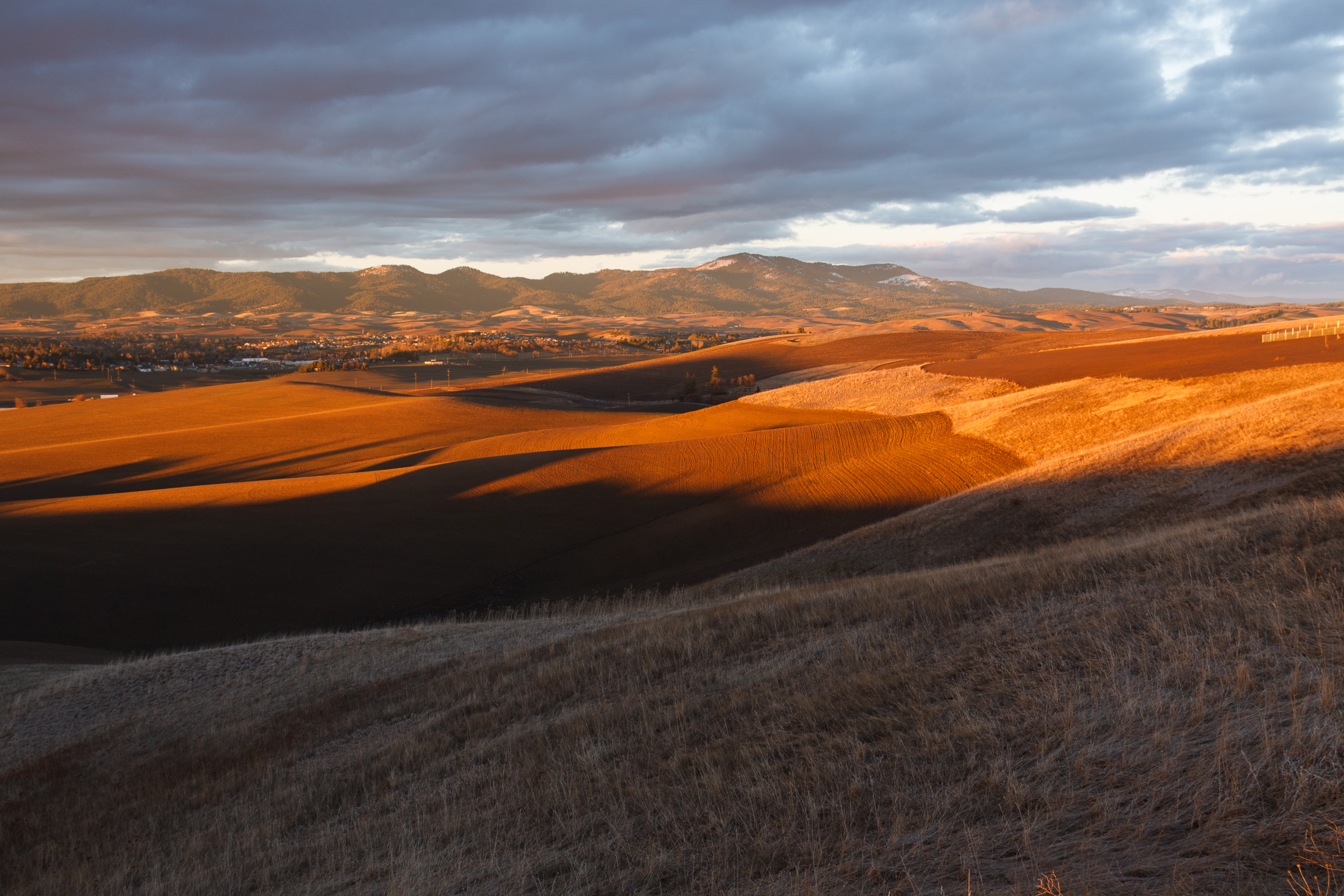 Palouse Photography Waiting for the right light Matthew Singer