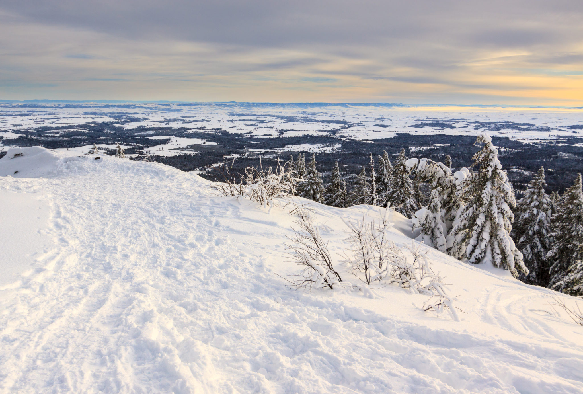 Moscow Mountain Snowshoe Matthew Singer